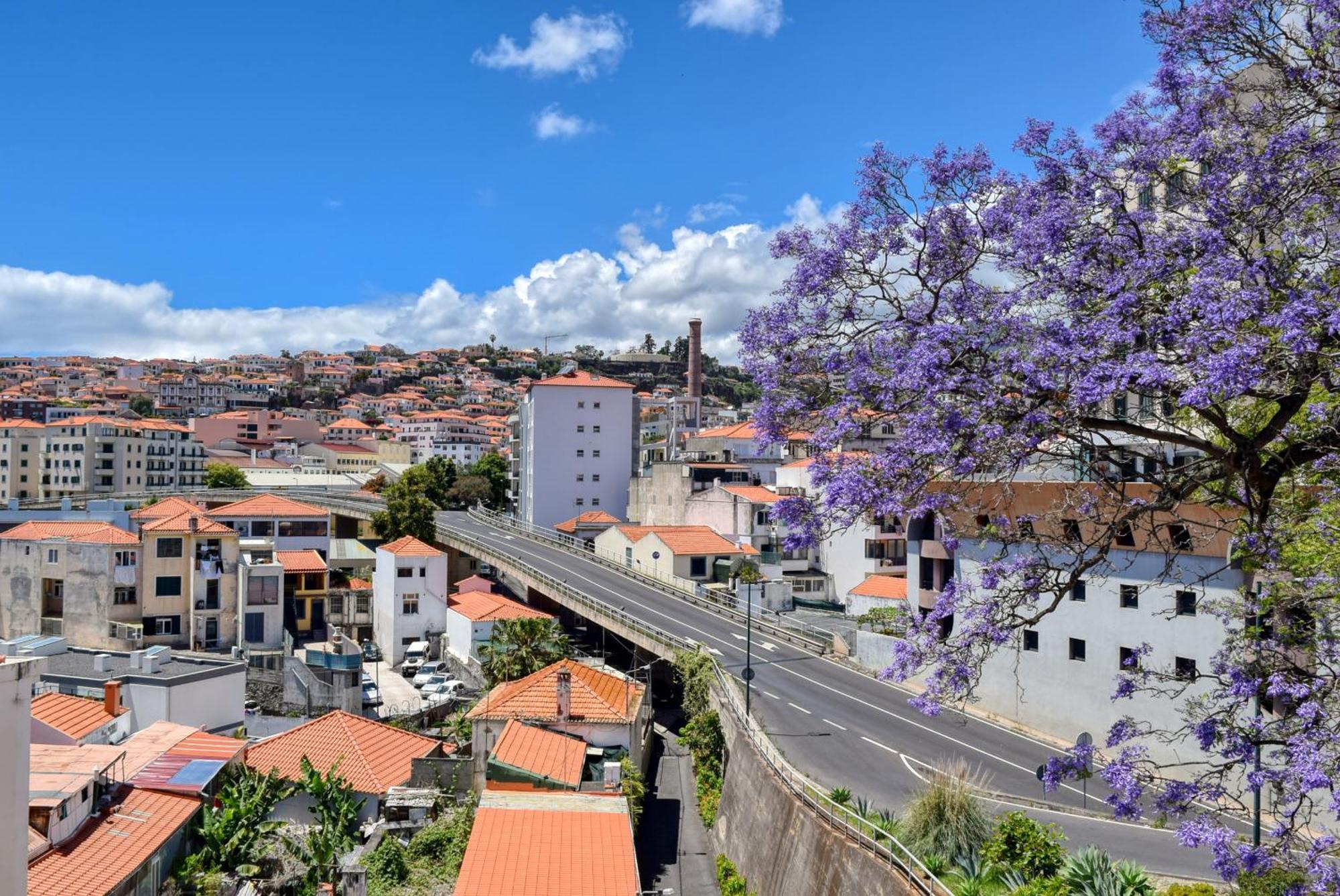 Encarnacao Apartment, A Home In Madeira Funchal Kültér fotó